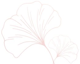开云手机端官方版在线新手怎么玩