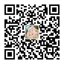 开云手机端官方版在线