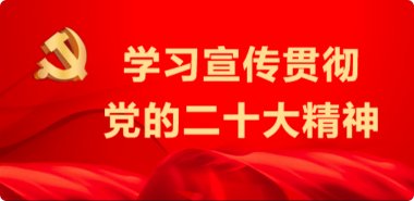 开云手机端官方版在线-让娱乐更加多元